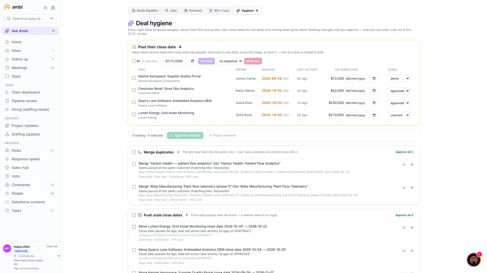 Pipeline hygiene list of deals with data problems and proposed fixes